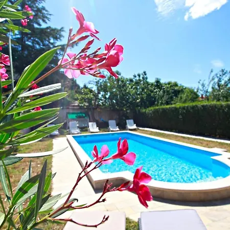 House Gaston Nyaraló Póla